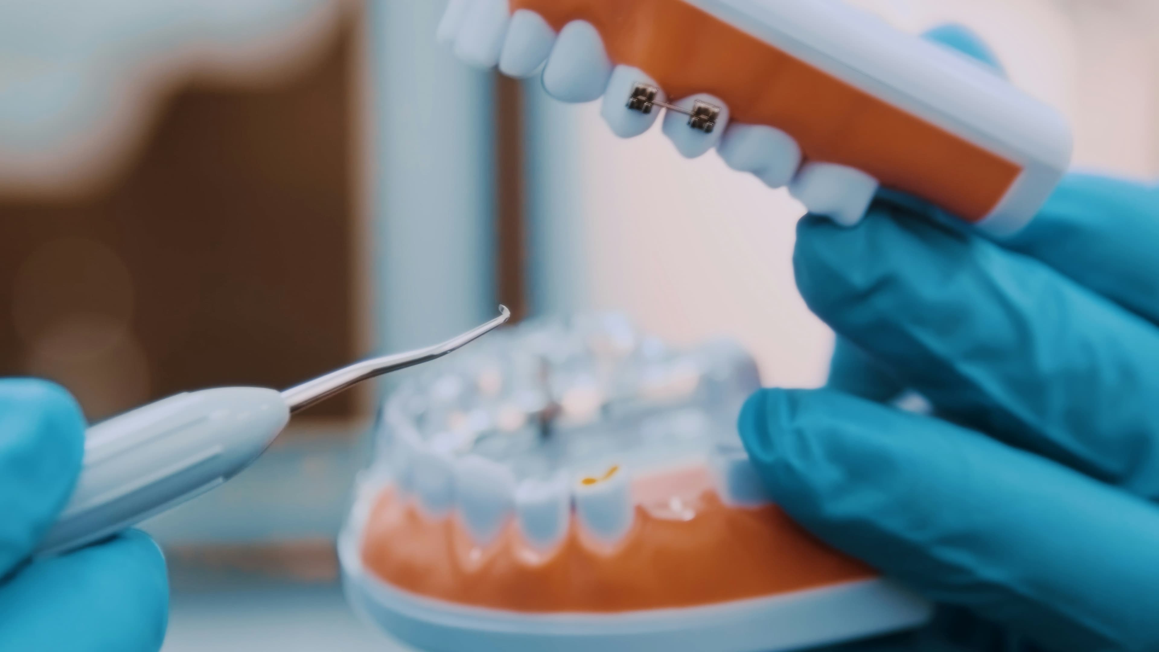 Gloved hands hold a teaching model of teeth with braces and a dental instrument.