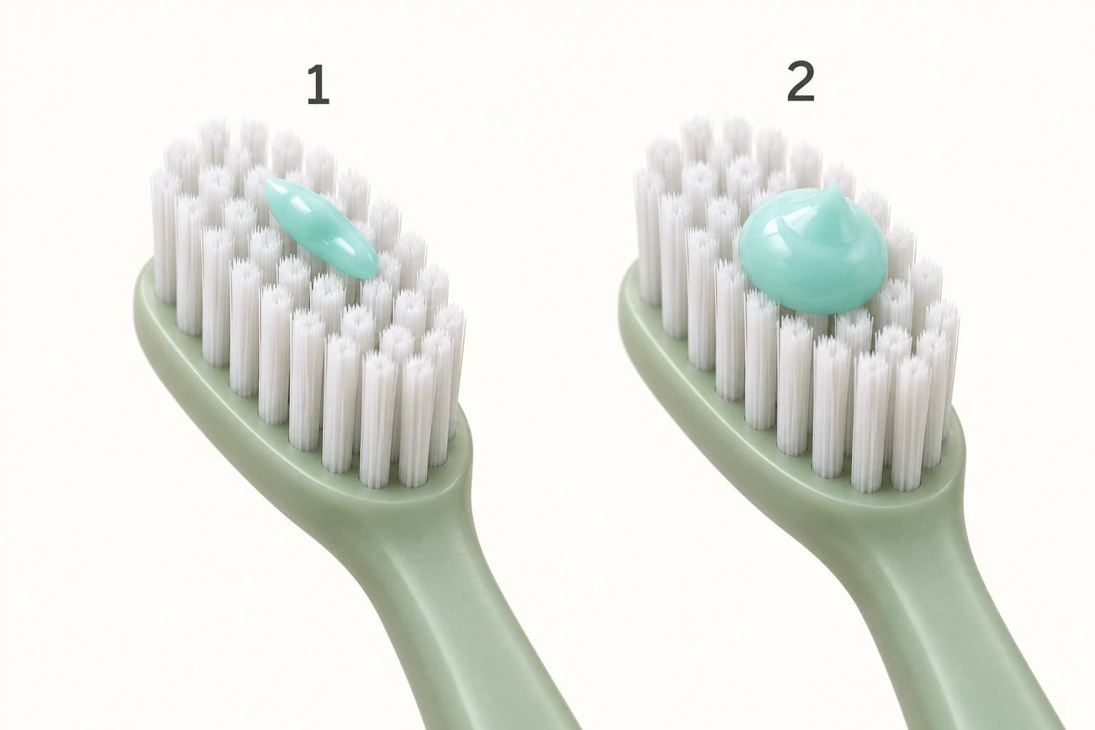 Zwei gleiche Zahnbürsten: 1 mit einer kleinen, reiskorngroßen Menge Zahnpasta, 2 mit einer größeren, erbsengroßen Menge.